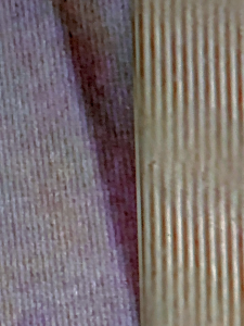 IMG 0311