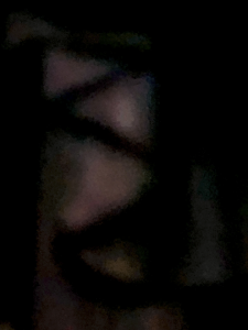 IMG 0324