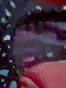 IMG 0652