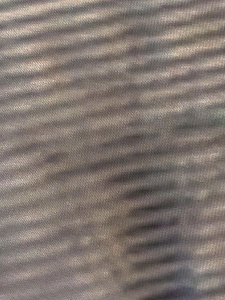 IMG 37720