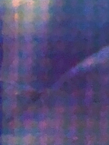 IMG 7387