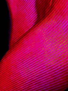 IMG 8978