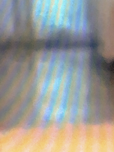 IMG 9771