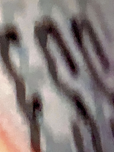 IMG 9898