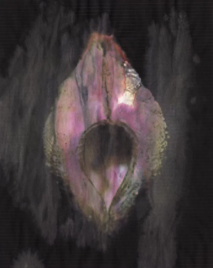 MATTHEWSWARTS UNTITLED 2004 02