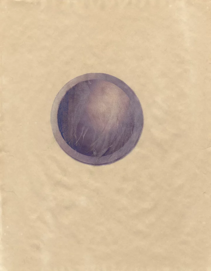 MATTHEWSWARTS UNTITLED 2004 16