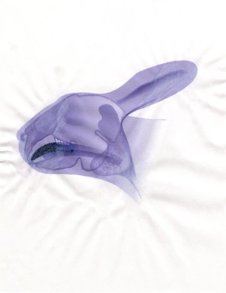 MATTHEWSWARTS UNTITLED 2004 17