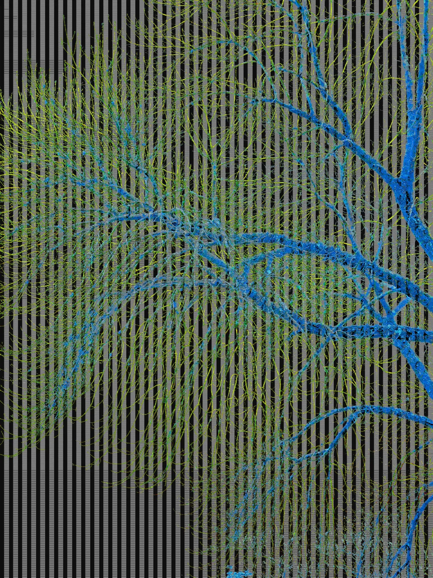 IMG 0191F
