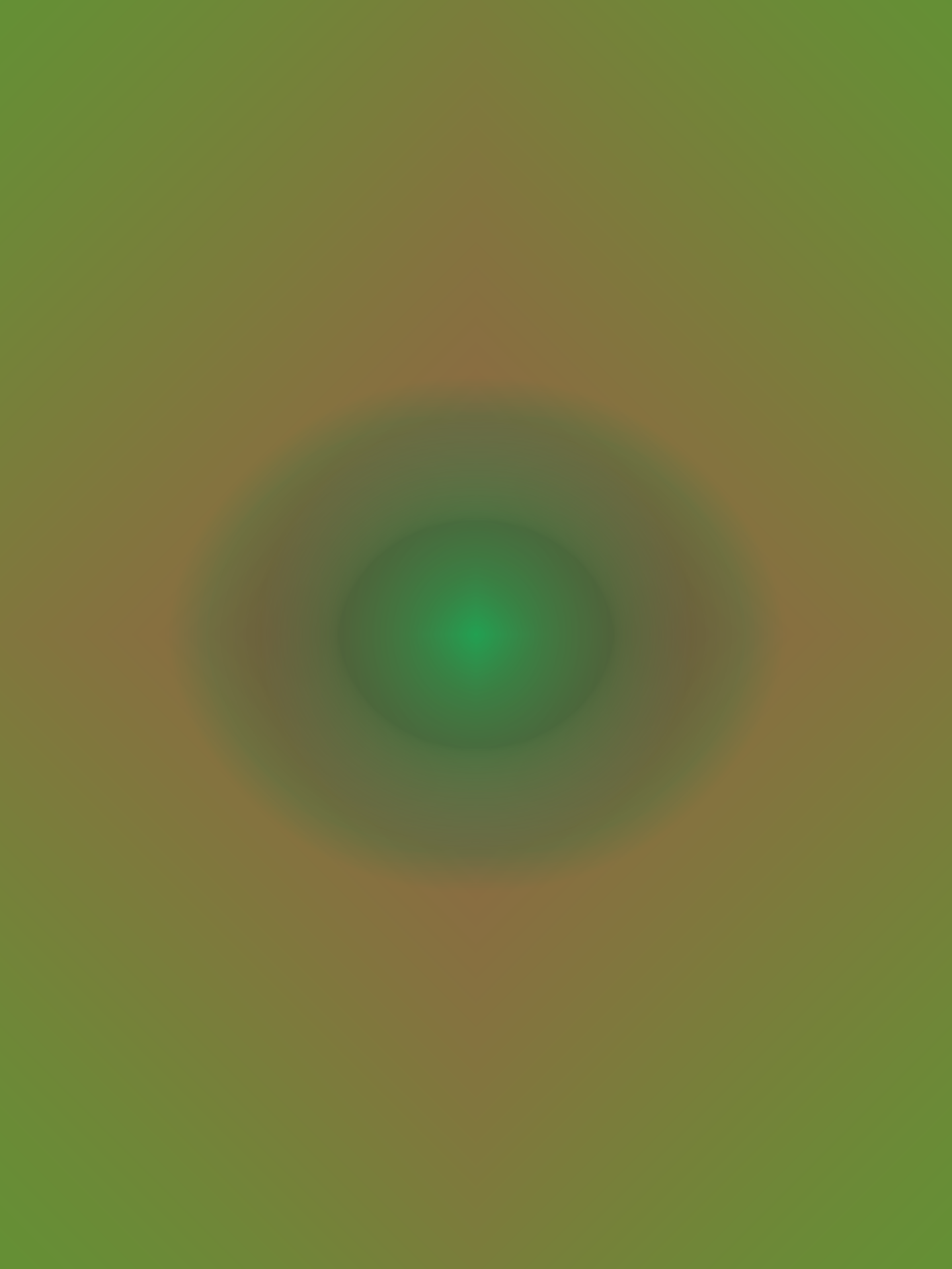 DIAMONDGRADIENT2022T 12