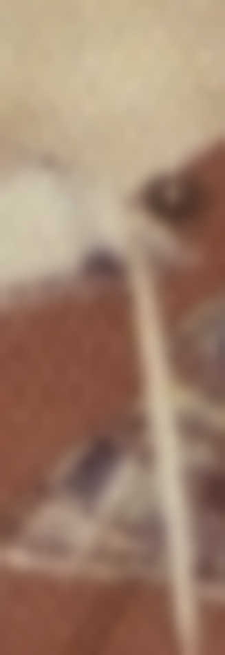 19740029