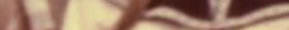 19740098