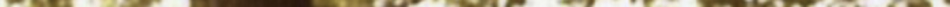 19740808