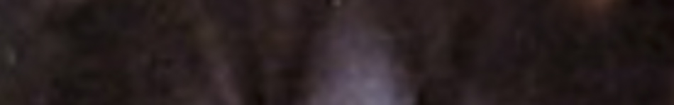 19740833