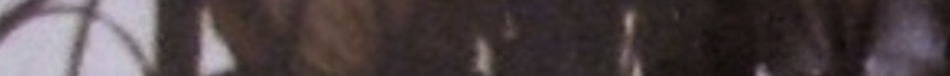 19740838