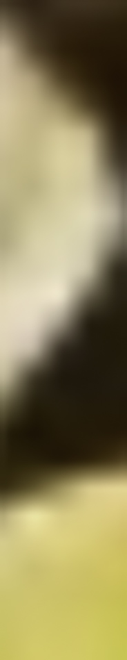 MATTHEW SWARTS A blurred close-up image featuring shades of brown, beige, and yellow forms an abstract pattern, reflecting the expressive style of contemporary art with no distinct objects or details visible.