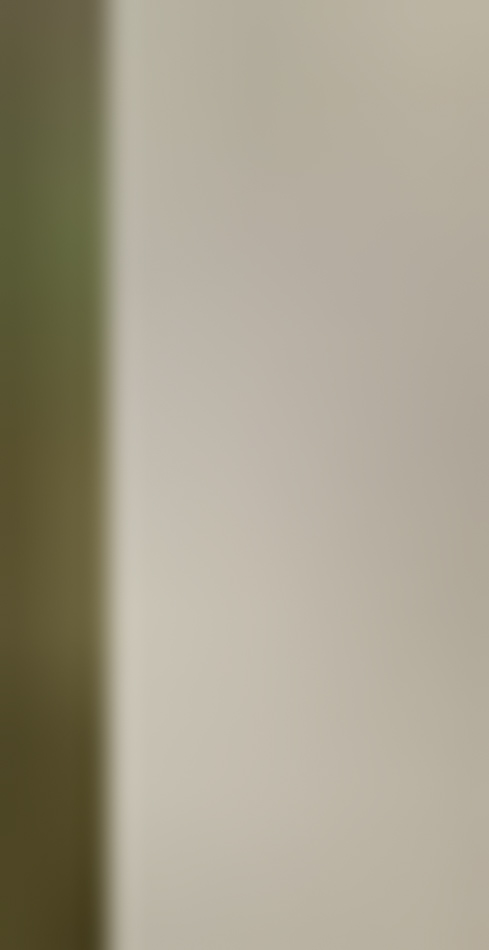 MATTHEW SWARTS A blurry image in the style of FINE ART PHOTOGRAPHY, featuring two vertical sections: a light brown area on the left and a larger, pale beige area on the right. Created by HHEW SWARTS, it lacks clear details or identifiable objects.