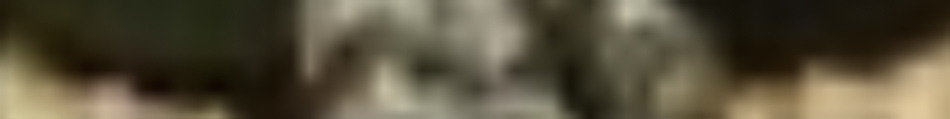 MATTHEW SWARTS The image, resembling a piece of contemporary art or fine art photography, is very blurry and indistinct, making it difficult to identify any objects, people, or scene clearly. The colors are muted with some dark and light patches.