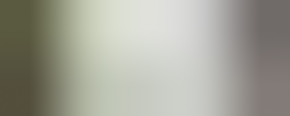 MATTHEW SWARTS A blurred gradient background with light gray, white, and pale green tones blending softly from left to right, evoking the subtle elegance of fine art photography.