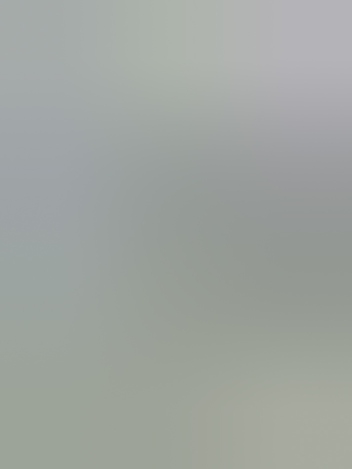 MATTHEW SWARTS A soft, blurry gradient background with shades of gray, pale green, and light purple blending smoothly together, evoking the subtle style of fine art photography. There are no distinct shapes or objects visible.
