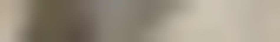 MATTHEW SWARTS A blurred image with vertical gradients of beige, taupe, and light brown tones embodies abstract visual art. No distinct objects or subjects are visible.