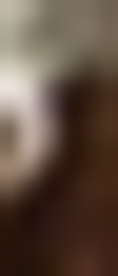 19741277