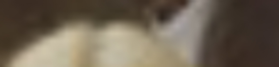MATTHEW SWARTS The image is very blurry and out of focus, making it difficult to identify any clear objects or subjects. The beige and brown tones evoke an abstract quality often seen in contemporary art.