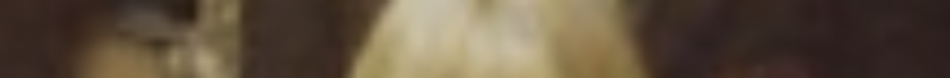 MATTHEW SWARTS A blurry close-up image with mostly brown and beige colors, featuring a central vertical area of light yellowish tones, flanked by darker brown shades on either side—a subtle study in contemporary photography.