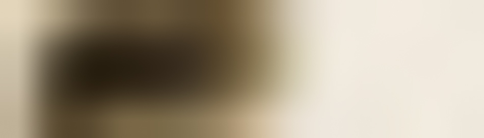 MATTHEW SWARTS The image is very blurry and out of focus, making it difficult to distinguish any specific objects or details. The colors are mainly beige and brown, characteristic of MATTHEW SWARTS' photography as an artist exploring abstraction.