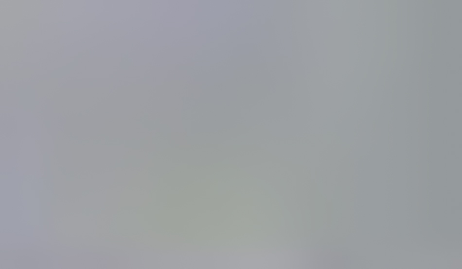MATTHEW SWARTS A blurry, light gray background with no distinct shapes or objects visible, characteristic of Matthew Swarts' photography. The image appears out of focus and lacks clear details.