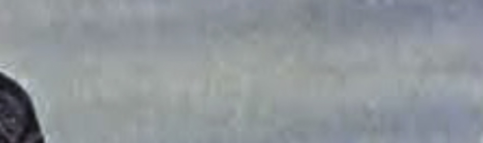MATTHEW SWARTS The image shows a blurry section of a grayish-blue background with an indistinct dark area on the left side, capturing the essence of FINE ART PHOTOGRAPHY. Details are unclear due to the close-up and cropped view.