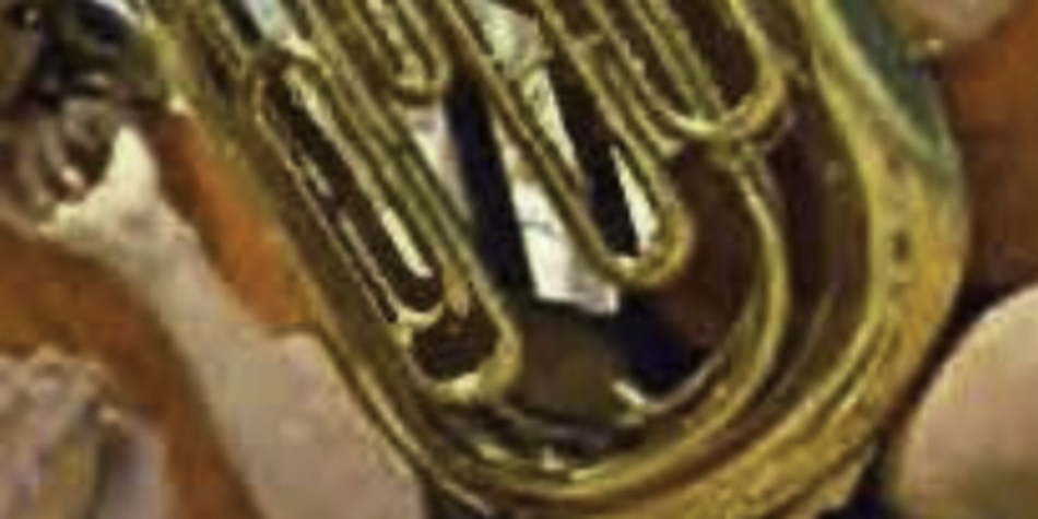 MATTHEW SWARTS Close-up of a person in an orange shirt playing a brass instrument, possibly a tuba or euphonium, with visible tubes and valves—a contemporary image in the style of ART by MATTHEW SWARTS.