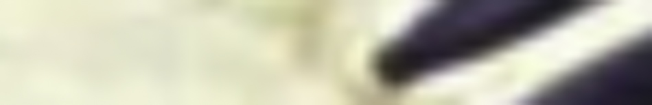 MATTHEW SWARTS A blurry close-up image with light beige and dark navy areas. The shapes and objects are indistinct due to the lack of focus, evoking the abstract photography style of artist Matthew Swarts.