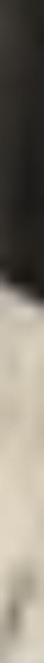 MATTHEW SWARTS A blurred close-up image featuring light beige and dark brown colors, with no clear identifiable objects or details visible—reflecting the abstract ART of ARTIST MATTHEW SWARTS.