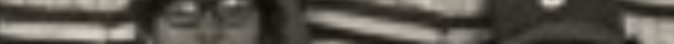 MATTHEW SWARTS A blurry, sepia-toned image by photographer Matthew Swarts with vertical and horizontal lines, possibly depicting parts of a flag and indistinct shapes in the background.