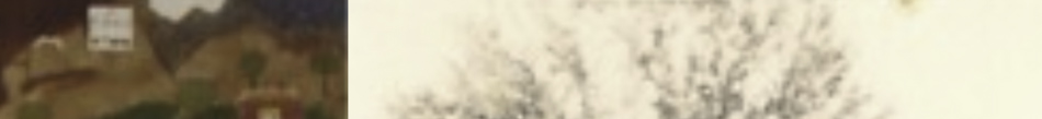 MATTHEW SWARTS A blurred image by a contemporary photographer showing brown hills on the left and a faint, leafless tree on a pale background to the right. The details remain indistinct.