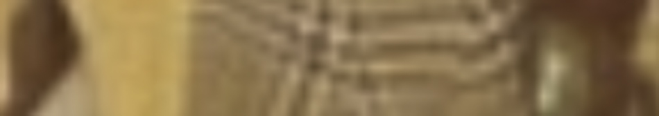MATTHEW SWARTS A blurry, close-up ART photograph by MATTHEW SWARTS captures a light brown or tan object with horizontal lines and a slightly shiny surface, possibly fabric or textured material. Details remain unclear due to the image being out of focus.