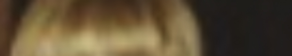 MATTHEW SWARTS A blurred image showing the top part of a person’s head with light brown or blonde hair against a dark background, characteristic of ARTIST MATTHEW SWARTS’s distinctive style.