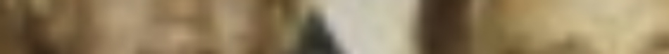 MATTHEW SWARTS A very blurry image with vertical streaks in brown, beige, and black tones; no clear objects or details are distinguishable, evoking a contemporary photographer’s abstract style.