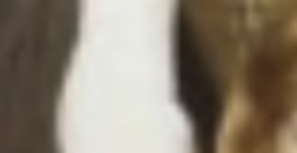MATTHEW SWARTS The image is very blurry and out of focus, making it difficult to distinguish any clear objects or details. The neutral and brownish tones with some white in the center evoke the abstract style found in contemporary art by Matthew Swarts.