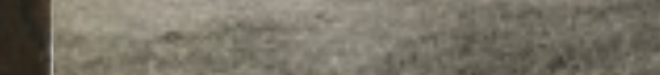 MATTHEW SWARTS A close-up view of a textured gray surface with a narrow strip of brown on the left edge, exemplifying MATTHEW SWARTS’ approach to CONTEMPORARY ART.