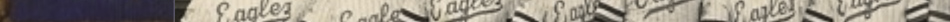 19741633