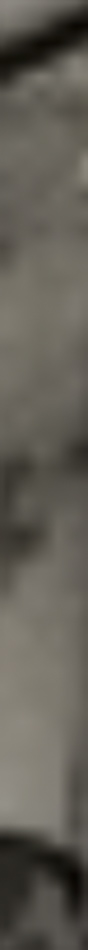MATTHEW SWARTS A blurry, vertical strip of an image in shades of gray and brown, showing indistinct shapes and textures. The details are unclear due to strong blur and cropping, evoking the mysterious style often found in fine art photography.