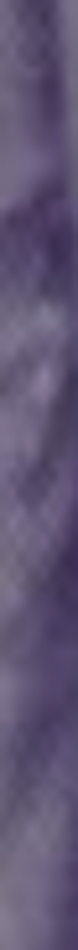 MATTHEW SWARTS A vertical strip featuring various shades of purple, with a soft, blurred, and wavy texture creating an abstract, cloudy effect—perfect for lovers of contemporary art.