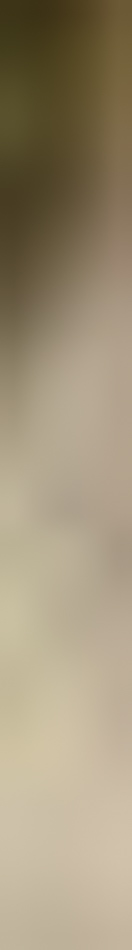 MATTHEW SWARTS A vertical, blurry gradient image inspired by fine art photography, with light beige and tan tones at the bottom, fading to a muted greenish-brown at the top. No distinct shapes or objects are visible in this piece of visual art.