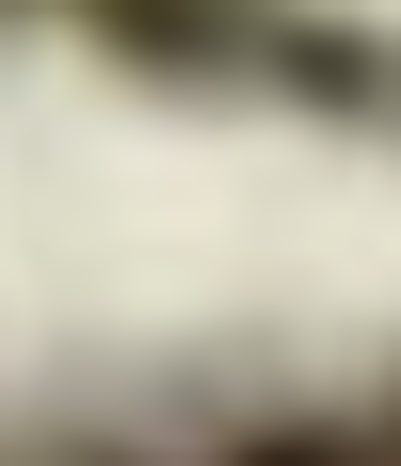 MATTHEW SWARTS The image is extremely blurry and out of focus, making it difficult to identify any specific objects, people, or scenery—a hallmark of Matthew Swarts' fine art photography where colors appear muted and indistinct.