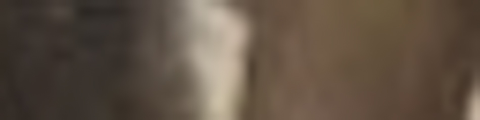 MATTHEW SWARTS A blurred close-up image featuring soft brown, beige, and tan tones with no clear shapes or identifiable objects, evoking the abstract elegance of fine art photography.