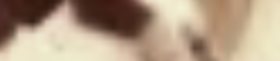 MATTHEW SWARTS The image is very blurry, resembling abstract VISUAL ART, with indistinct shapes and colors—mainly shades of beige, pink, and a dark red area in the top left corner. No clear objects or details are identifiable.