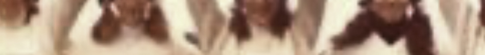 MATTHEW SWARTS A blurry, cropped image typical of CONTEMPORARY ART shows several people with their arms raised above their heads against a light background. Facial and other details are unclear due to the image quality.