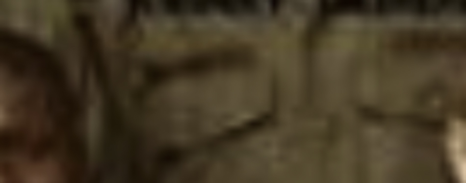 MATTHEW SWARTS A blurry, close-up image in the style of fine art photography, showing two beige or tan-colored rectangular objects with dark horizontal lines and unclear details.