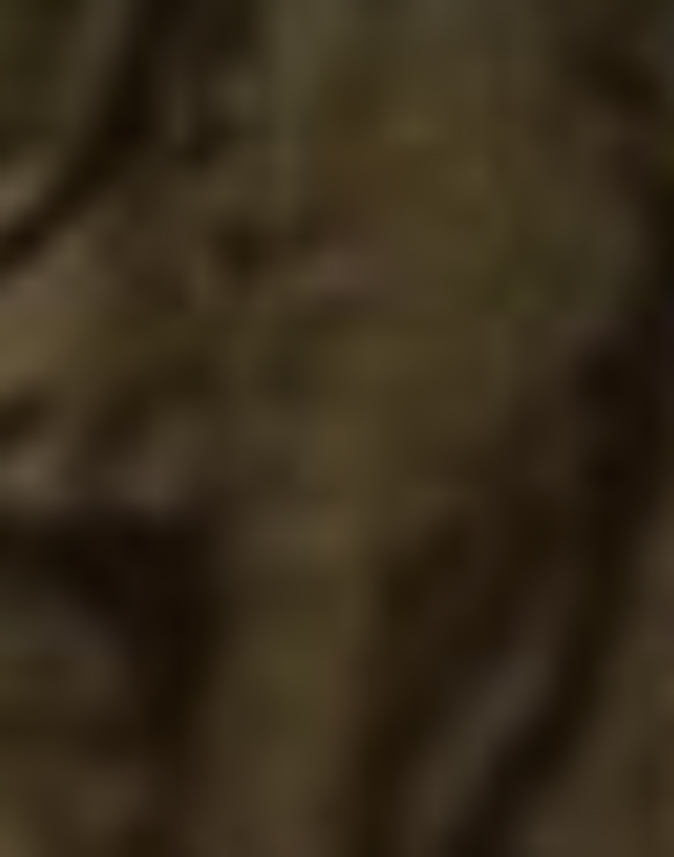 MATTHEW SWARTS A close-up image by a fine art photography artist shows a textured brown surface with folds and creases. The details are blurred, making it hard to identify the exact material, evoking intrigue in contemporary art.